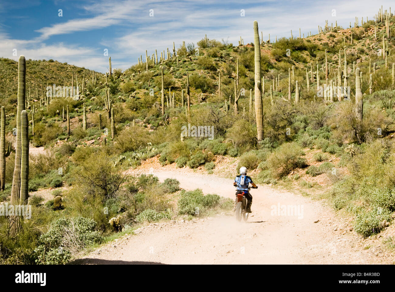 Un motard saleté en voyageant à travers le désert de Sonora en Arizona Banque D'Images