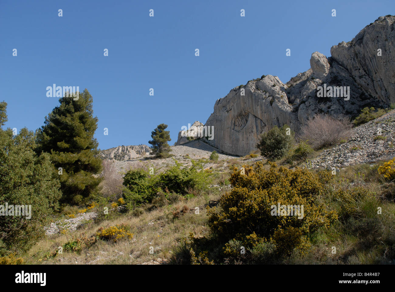 Paysage près de Vila de Muro rock pinacles, Sierra de Serrella, Comtat, Province d'Alicante, Communauté Valencienne, Espagne Banque D'Images