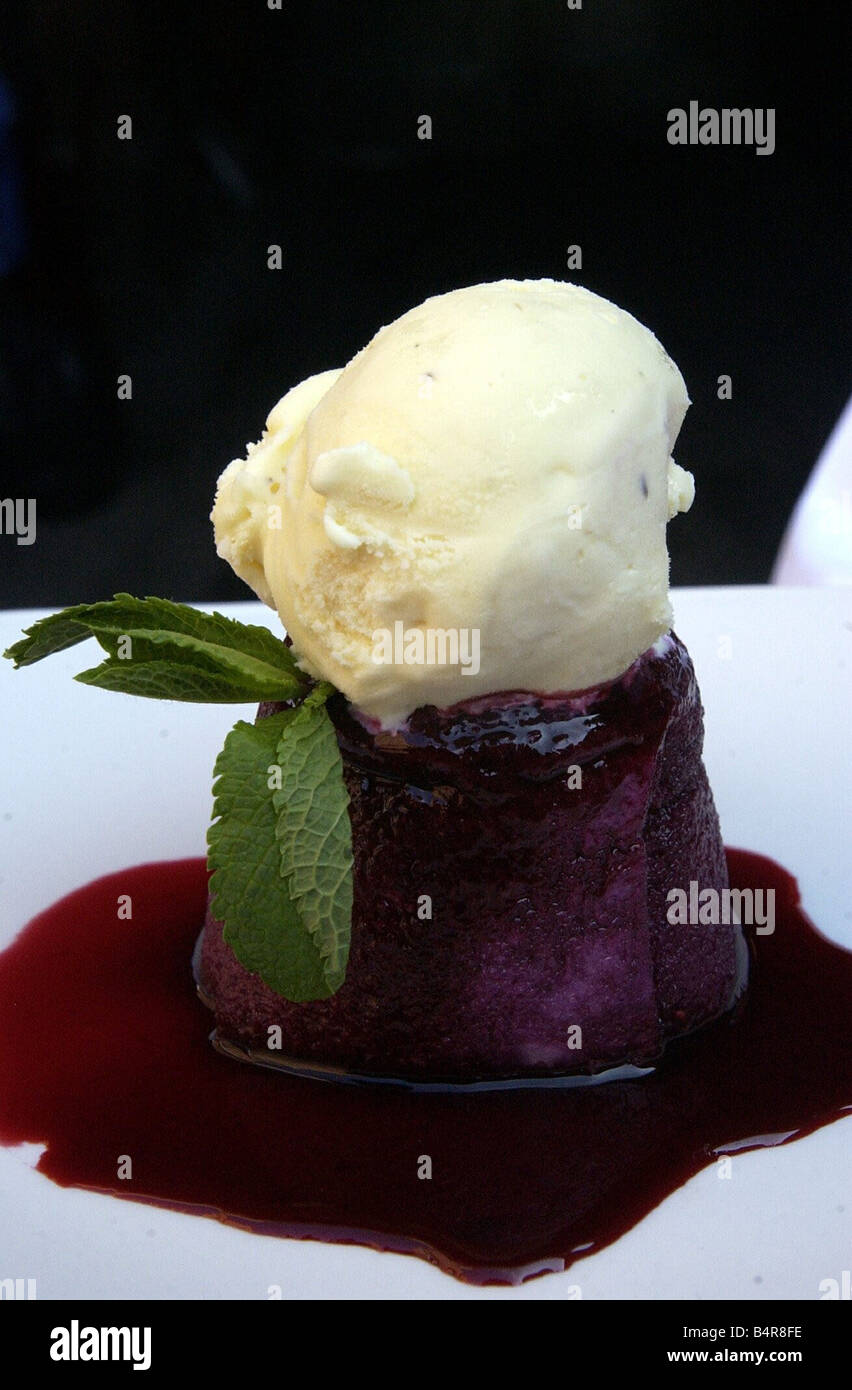 Pudding d'été avec de la glace à la vanille 12 05 04 Banque D'Images Pudding d'été avec de la glace à la vanille 12 05 04 Banque D'Images