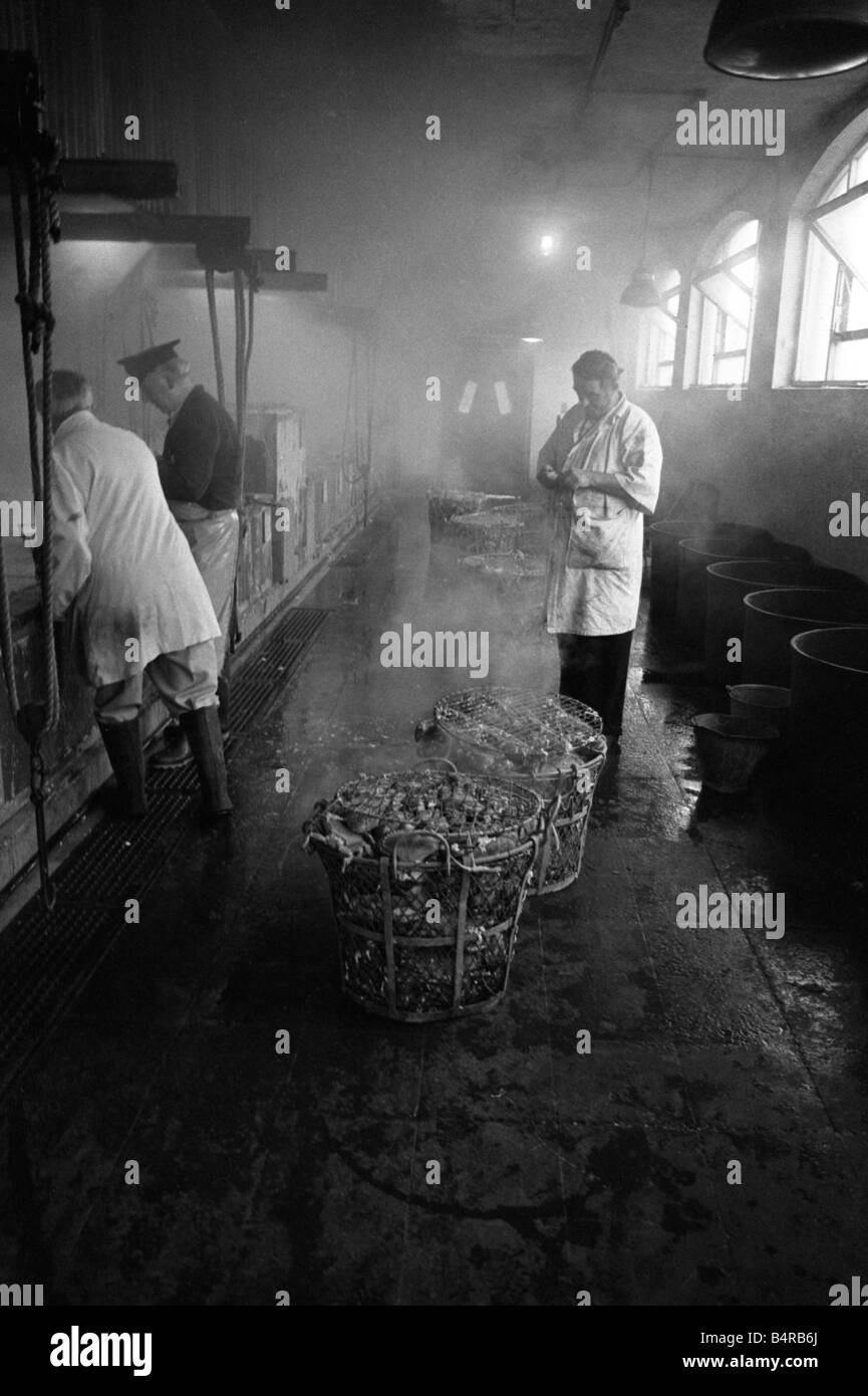 Chambre d'ébullition des crustacés Poissons Billingsgate Market fin des années 70. Banque D'Images