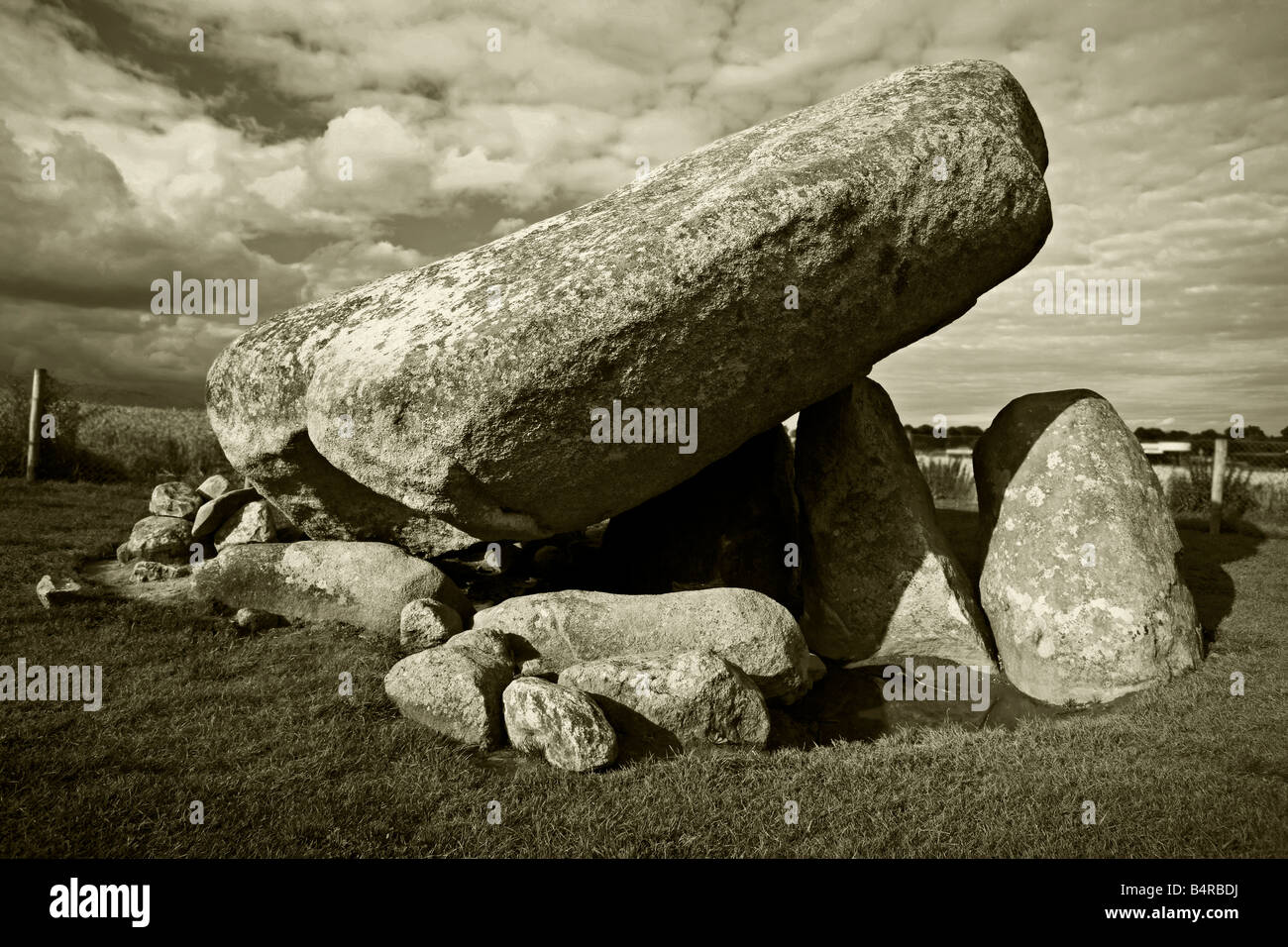 Brownshill Dolmen Carlow Irlande Banque D'Images
