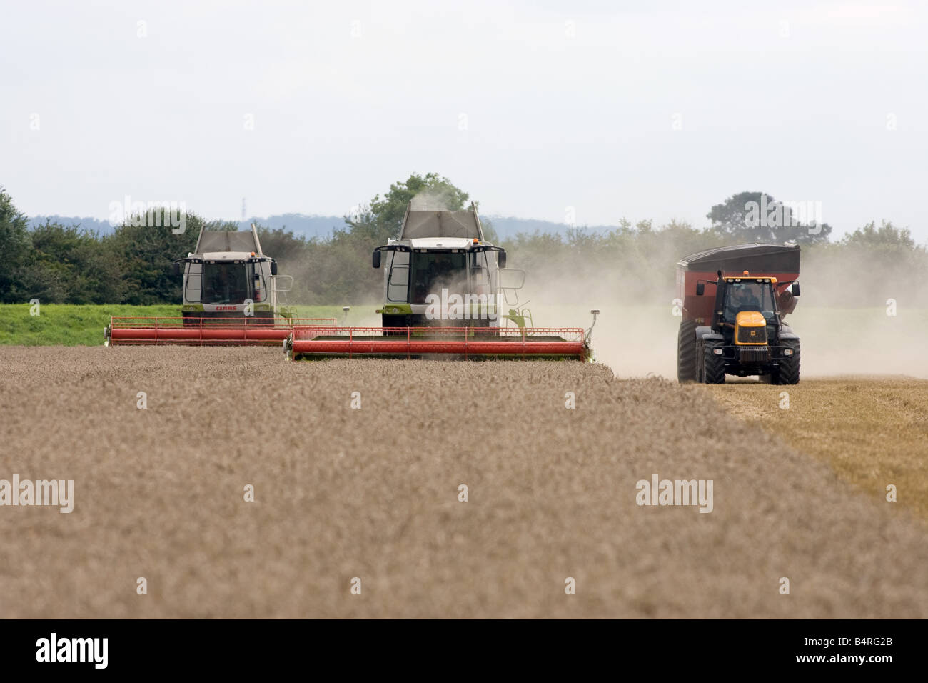 La récolte de blé d'hiver dans le Lincolnshire Banque D'Images