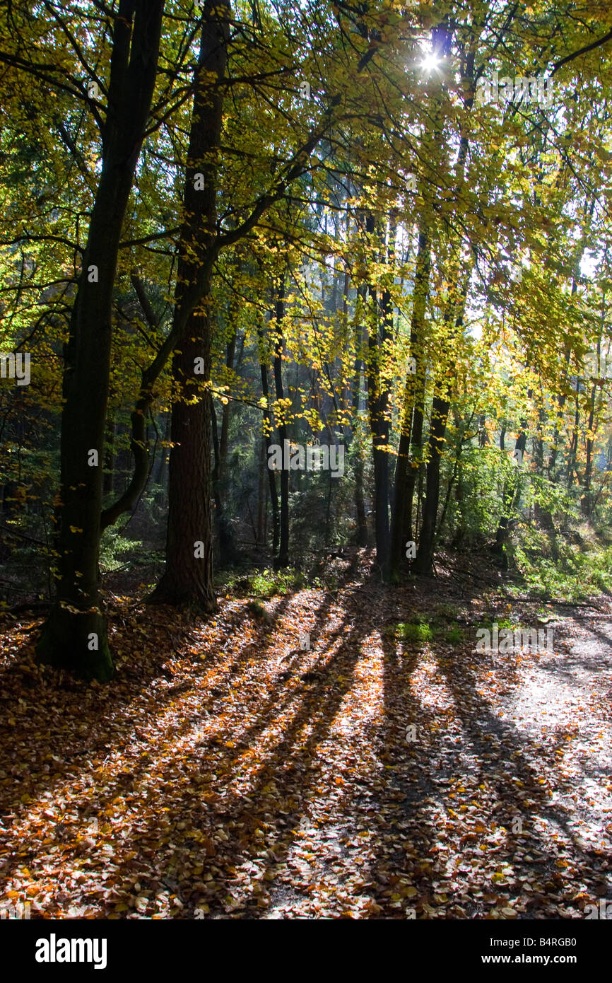 Dans Paysage près de Bergisches Land, Allemagne Windeck Banque D'Images