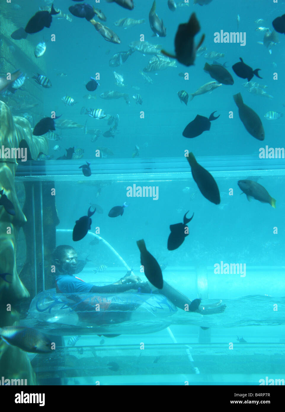 Hotel Atlantis, The Palm, Dubai, Émirats arabes unis. Parc aquatique