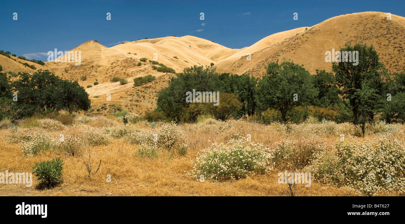 Gamme Diablo hills de Los Gatos Road comté de Fresno California USA Banque D'Images