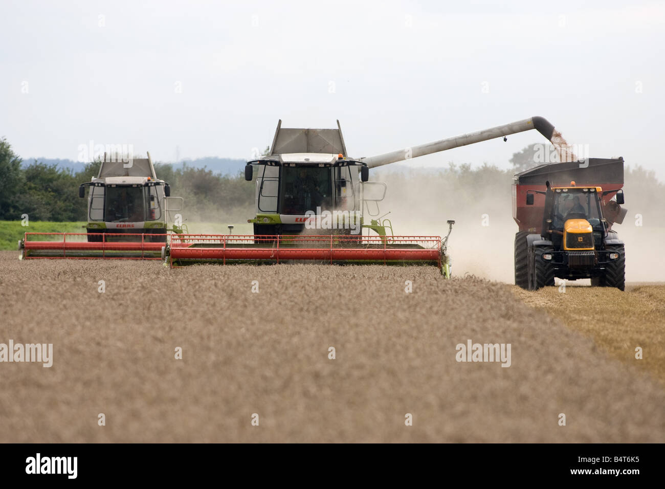 La récolte de blé d'hiver dans le Lincolnshire Banque D'Images