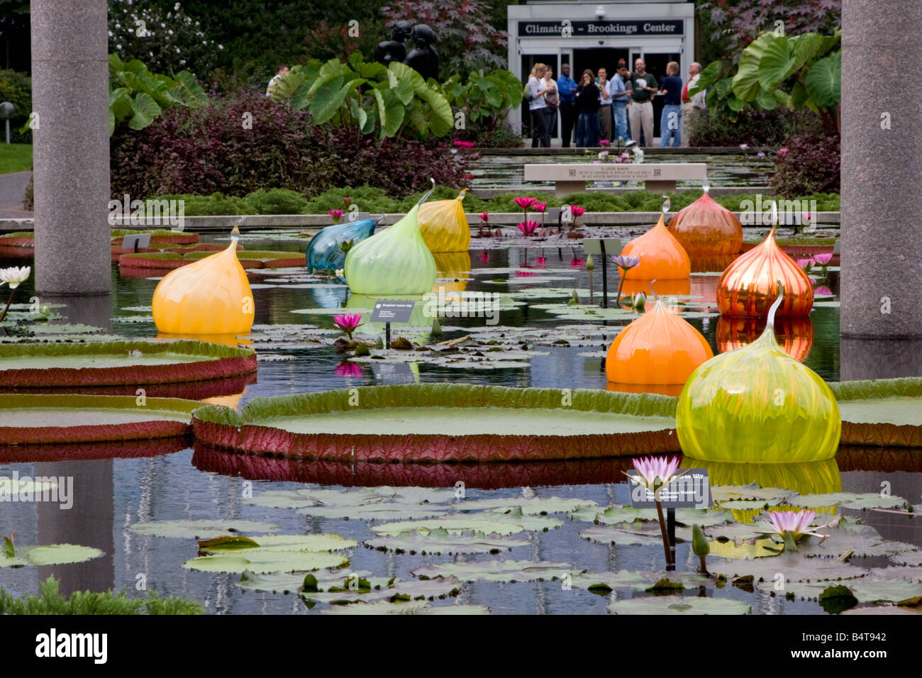 St Louis, Missouri, USA. Missouri Botanical Garden, verrerie flottante, Walla Walla's oignons par Dale Chihuly. Banque D'Images