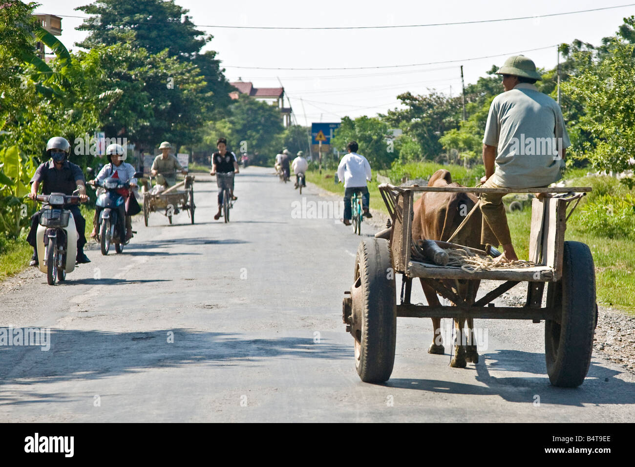 Chemin Rural, province de Ninh Binh, Vietnam du Nord Banque D'Images