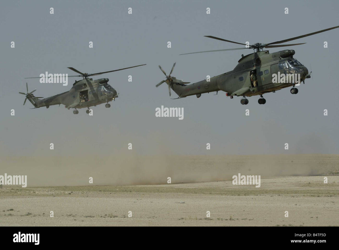 Guerre en Irak Mars 2003 hélicoptères Puma de la RAF de Ali Salim Air Base au Koweït Le Koweït par l'Iraq de patrouille border bravant la poussière lourde Banque D'Images