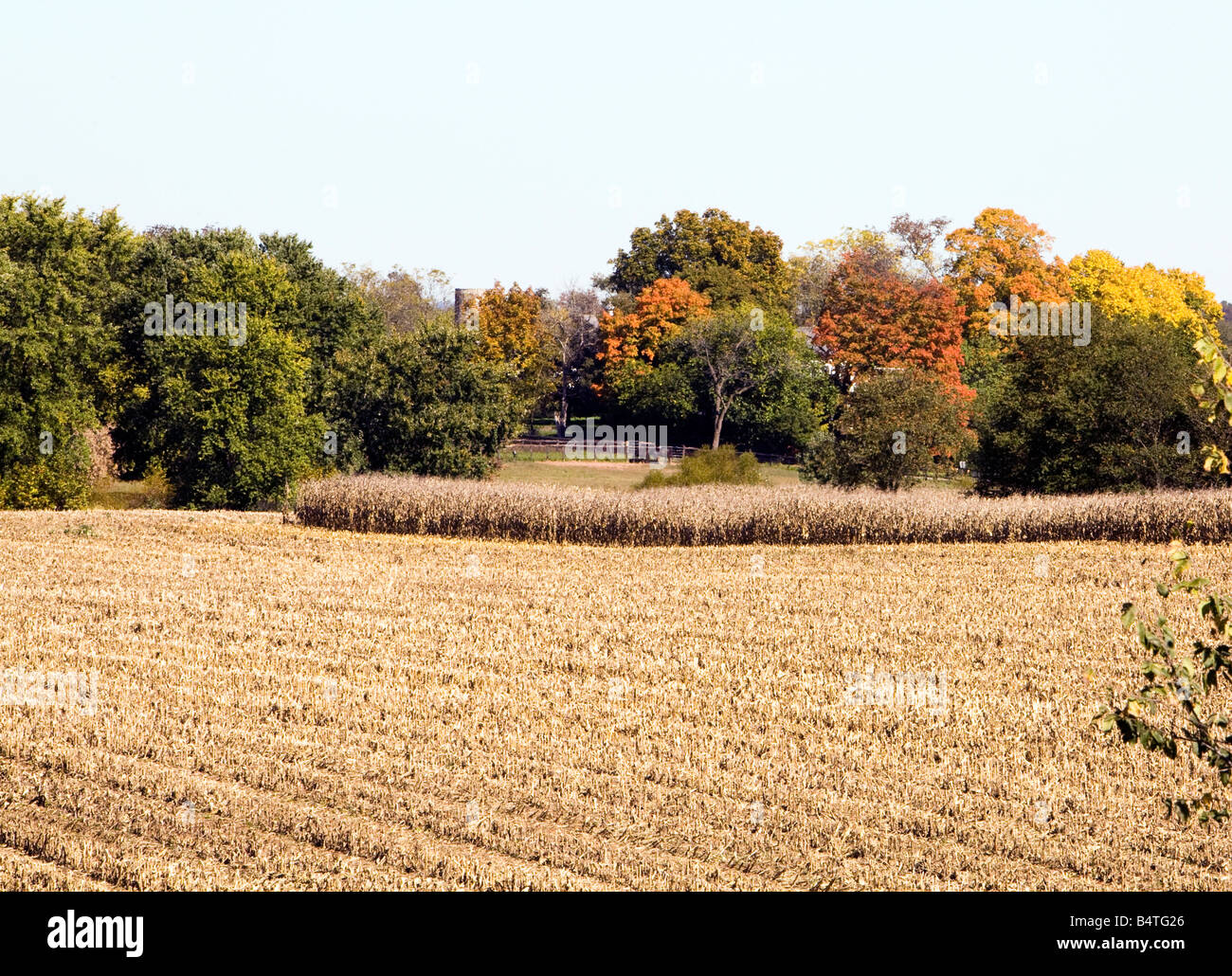 Une scène de ferme du New Jersey. Terrain agricole à la fin de l'automne. Banque D'Images