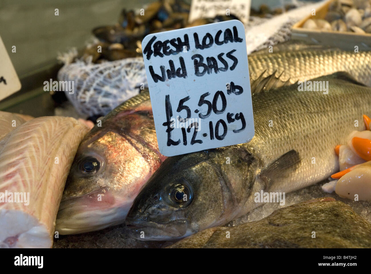 Bar sauvage frais locaux Rock a Nore le stade de la pêche de la vieille ville de Hastings East Sussex Banque D'Images