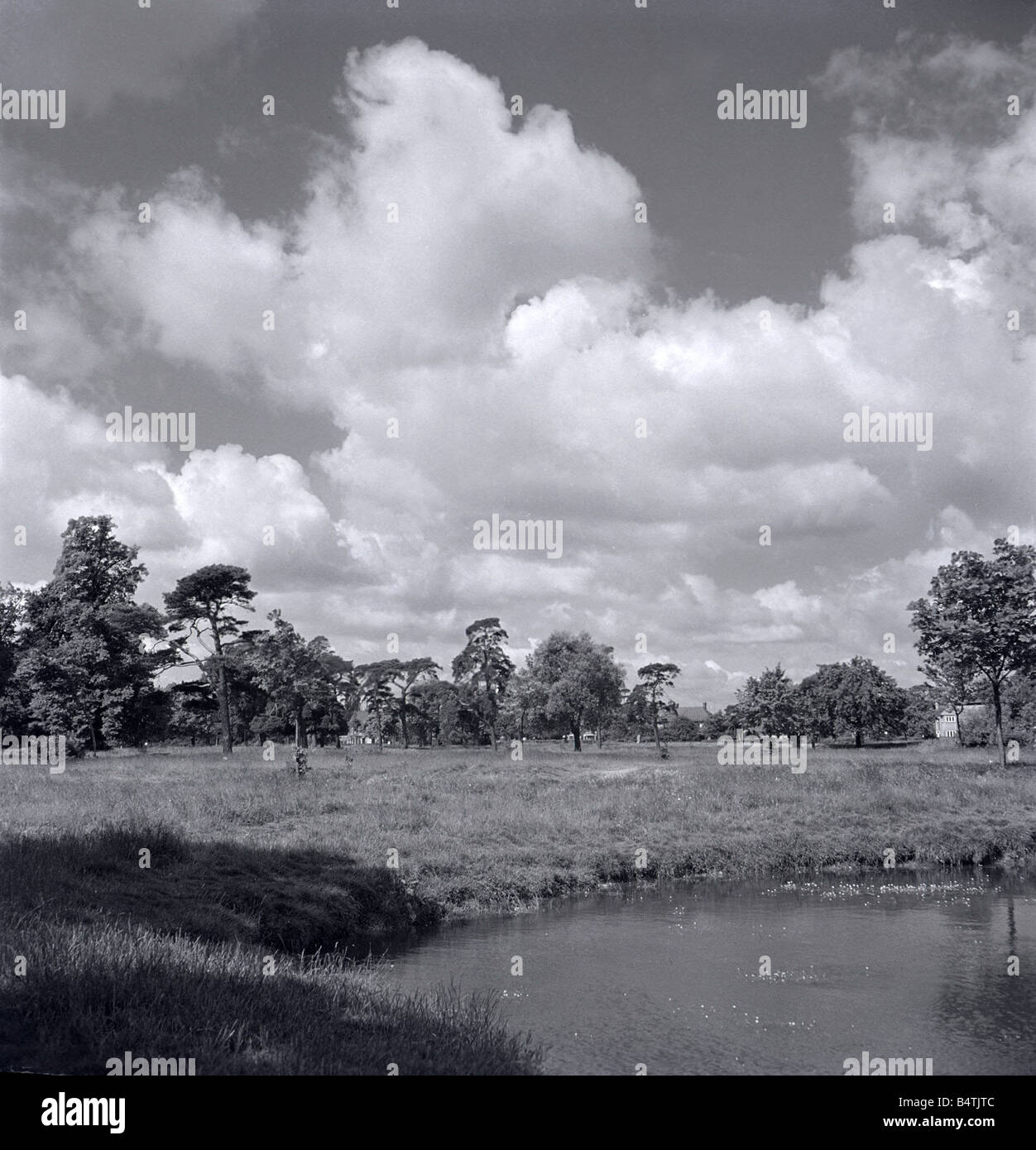 Green Barnet Hadley Centre d'Hertfordshire les troncs d'arbres en dehors de la flore Plantes Arbres bois forêts des zones de loisirs météo saisons hiver printemps campagne monde naturel nature dehors parc parc d'étang d'eau vers 1958 Mirrorpix Banque D'Images