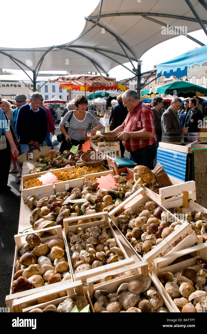 Vendeur de champignons à Moissac's marché plein air, sud-ouest de la France. L'automne est la saison des champignons. Banque D'Images