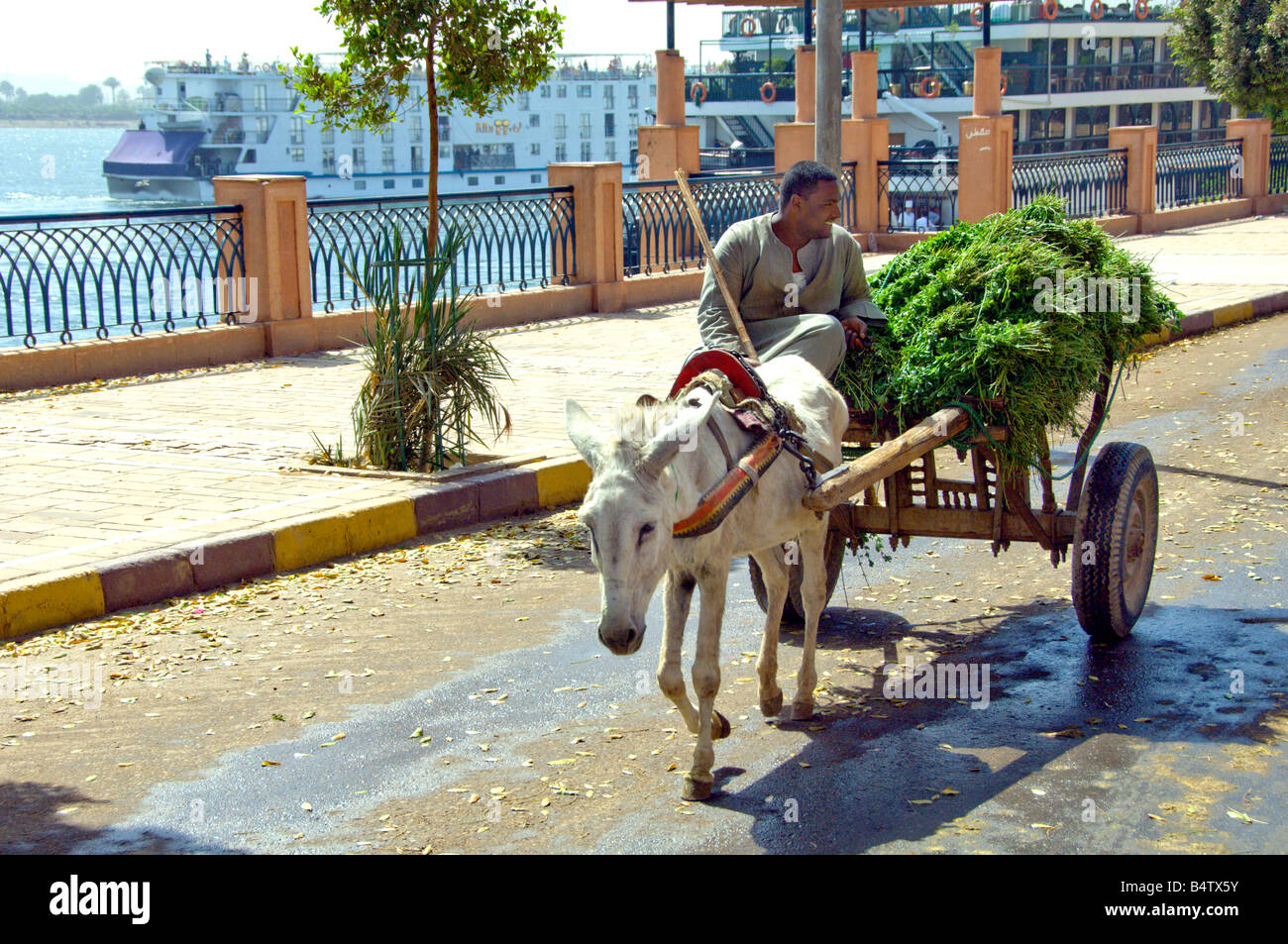 Des scènes de rue avec des charrettes et de la luzerne à Edfu Égypte Banque D'Images