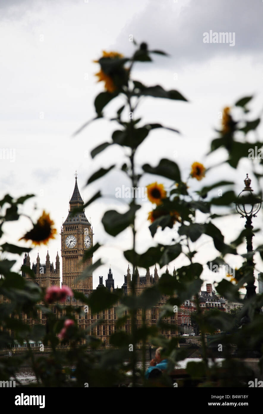 La guérilla verte à Londres. Banque D'Images