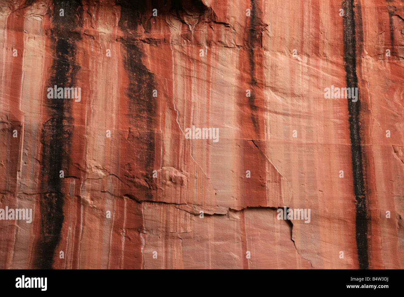 Des traînées d'eau mur du canyon de grès rouge Banque D'Images