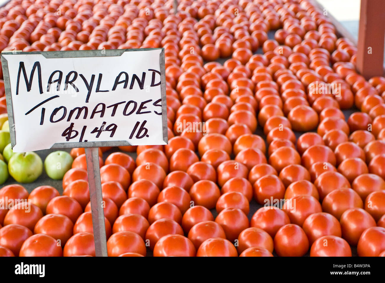 Tomates sur l'affichage à un marché en plein air Banque D'Images