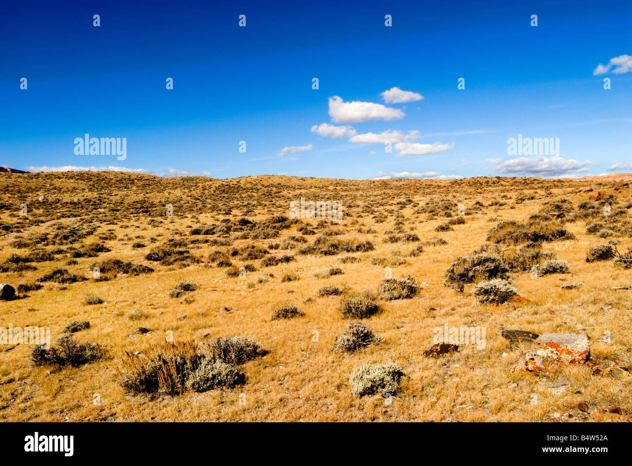 Octobre bleu ciel et de la terre de la brosse sage fusion du Wyoming. Banque D'Images