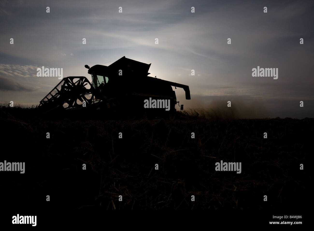 Moissonneuse-batteuse John Deere la récolte en fin d'après-midi Banque D'Images