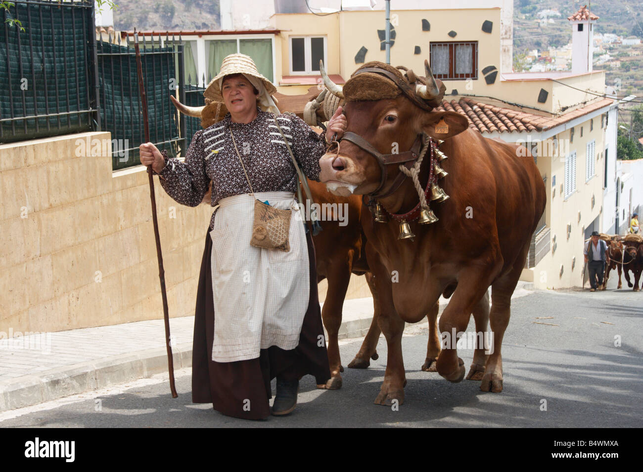 Femme espagnole avec taureaux de Fiesta del Pino in Firgas sur Gran Canaria dans les îles Canaries Banque D'Images