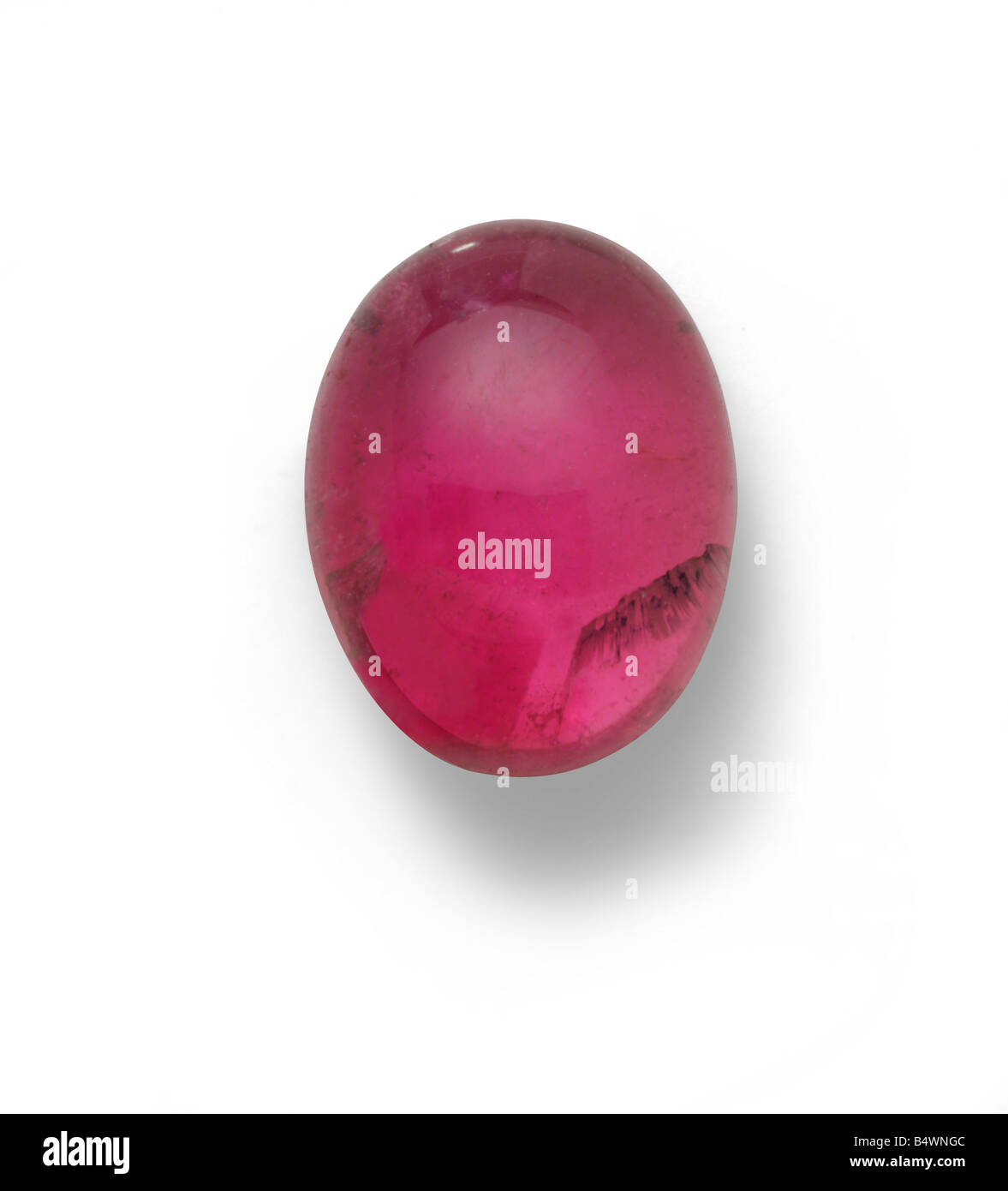 Pierre précieuse tourmaline rose dans une finition cabochon Banque D'Images Pierre précieuse tourmaline rose dans une finition cabochon Banque D'Images