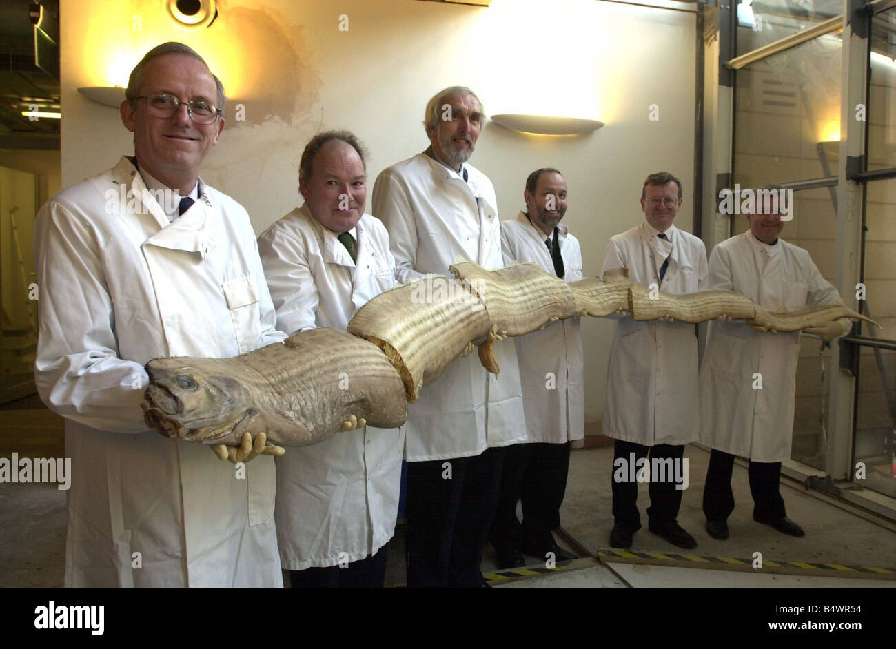 Musée d'histoire naturelle mars 2001 plus de 20 millions de spécimens zoologiques sont transférées à l'histoire naturelle des musées Banque D'Images