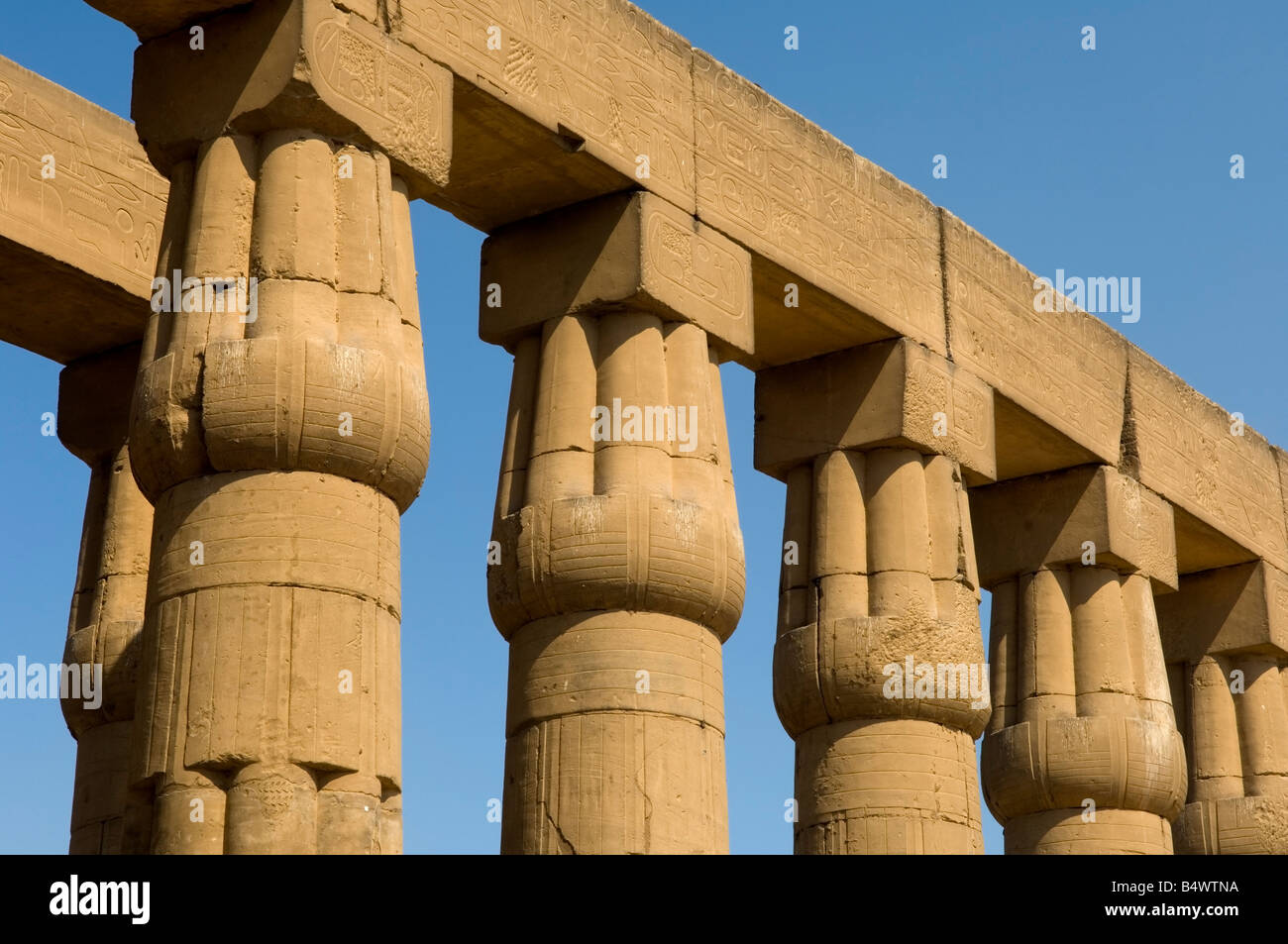 Chapiteaux papyrus fermés sur les columnsde la Cour du Soleil d'Amenhotep III, Temple de Louxor, site classé au patrimoine mondial de l'UNESCO, Louxor, Egypte Banque D'Images