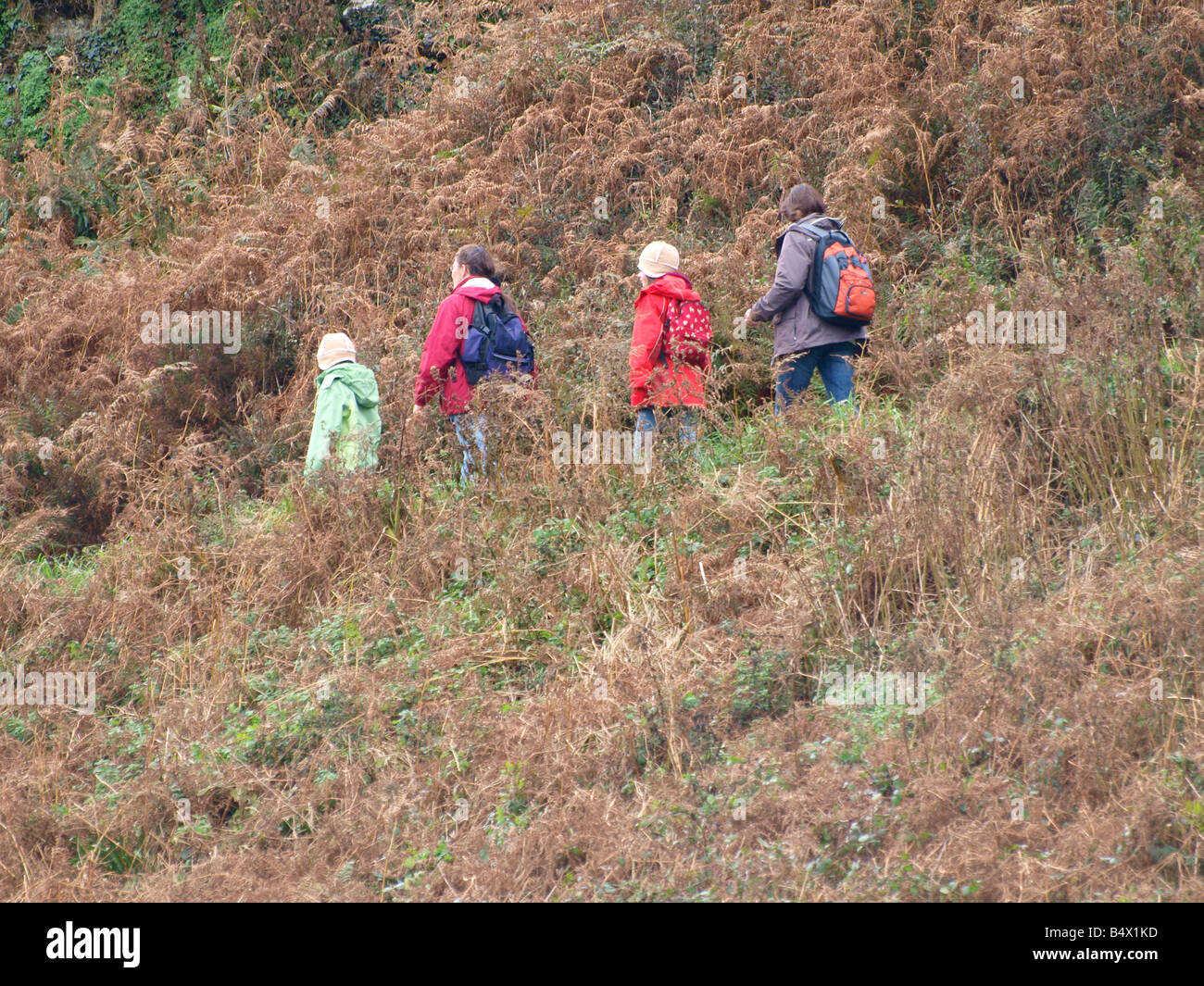 Deux adultes et deux enfants de marcher le long d'un chemin à travers le pays de fougères, Cornwall Banque D'Images