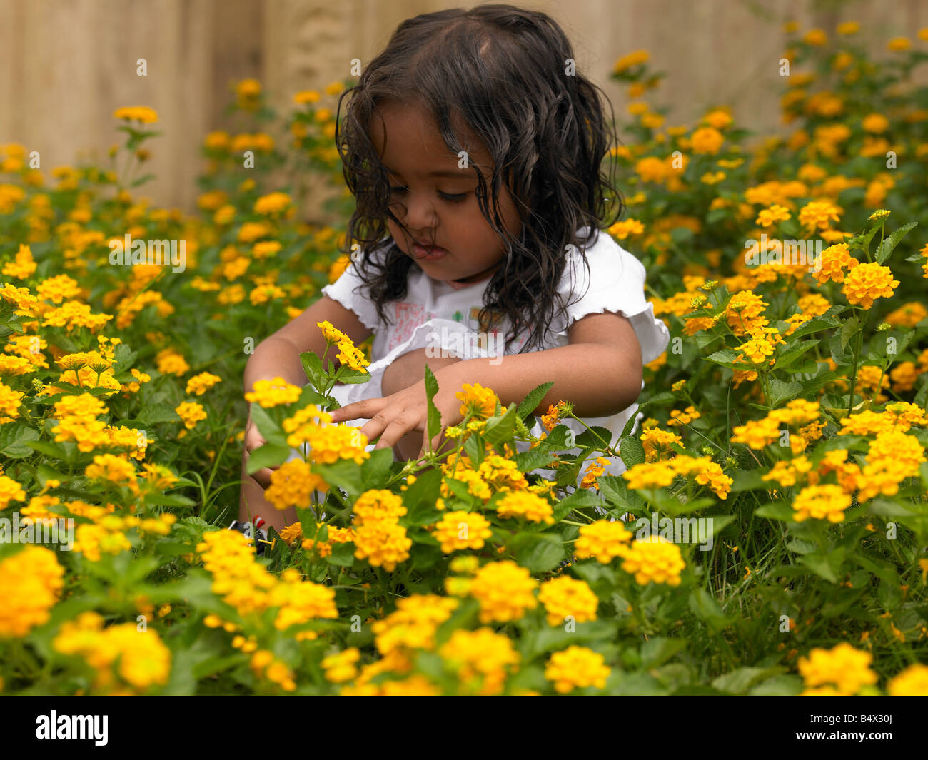 Chez les plantes à fleurs fille asiatique Banque D'Images