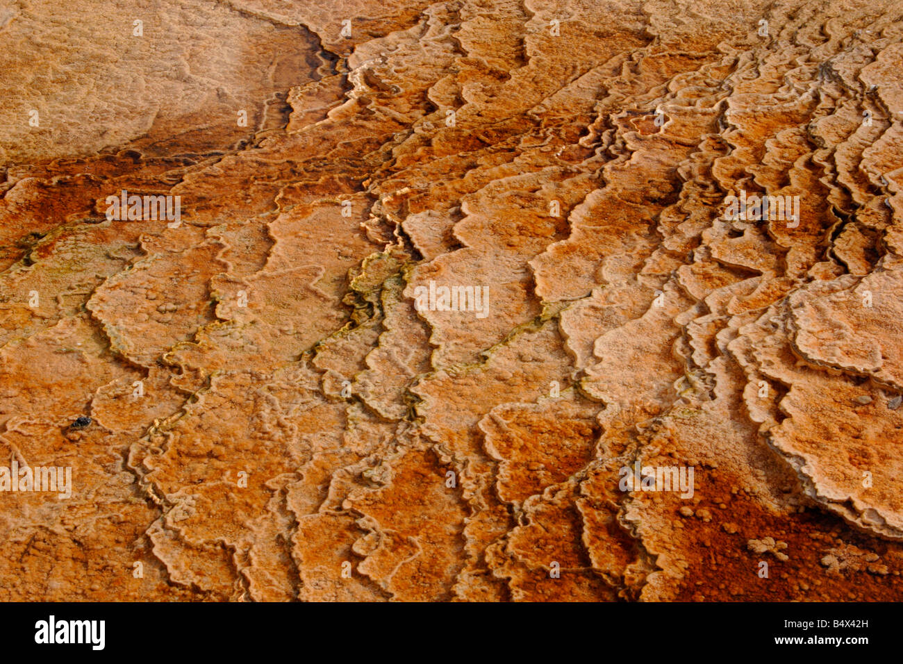 Formations géothermie & couleurs créées par l'activité microbienne et les gisements de minéraux à l'Upper Geyser Basin Yellowstone Park Banque D'Images
