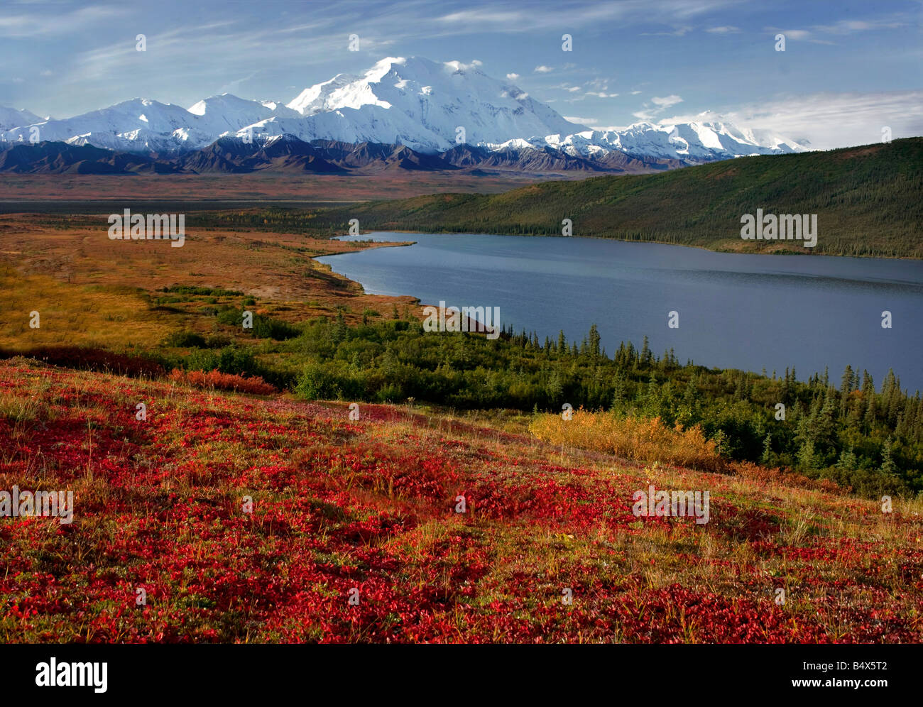 Le mont Mckinley dans le lac et de l'émerveillement à l'automne, le parc national Denali, Alaska Banque D'Images