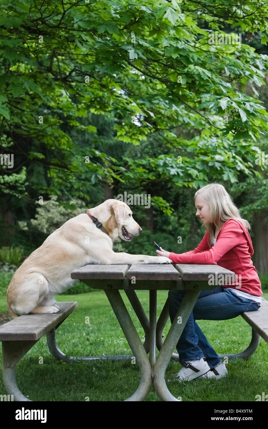 Chien assis en face de fille sur la table de pique-nique Banque D'Images