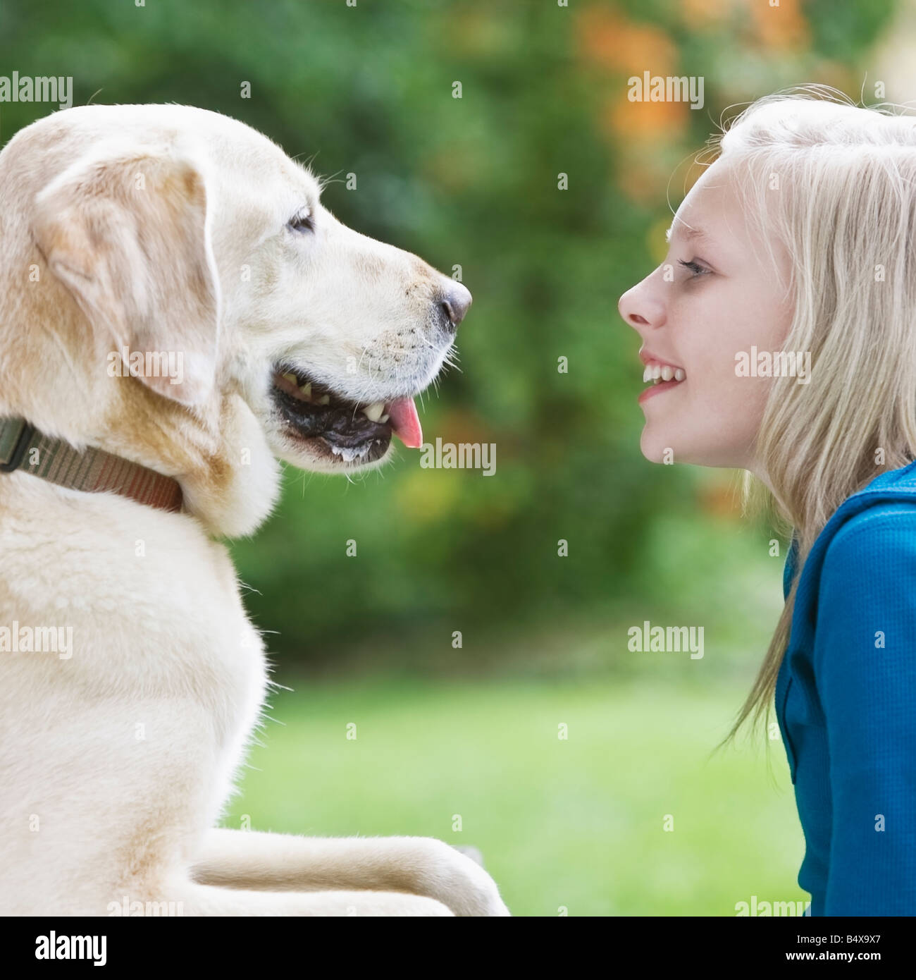 Girl and dog face à face Banque D'Images