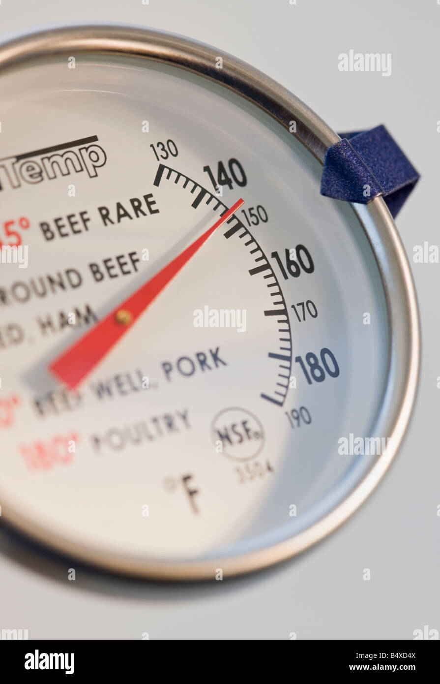 Close up de thermomètre à viande Banque D'Images