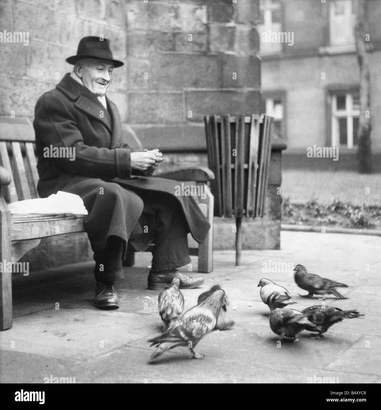 Un vieil homme l'alimentation du pigeon s dans un cimetière Banque D'Images