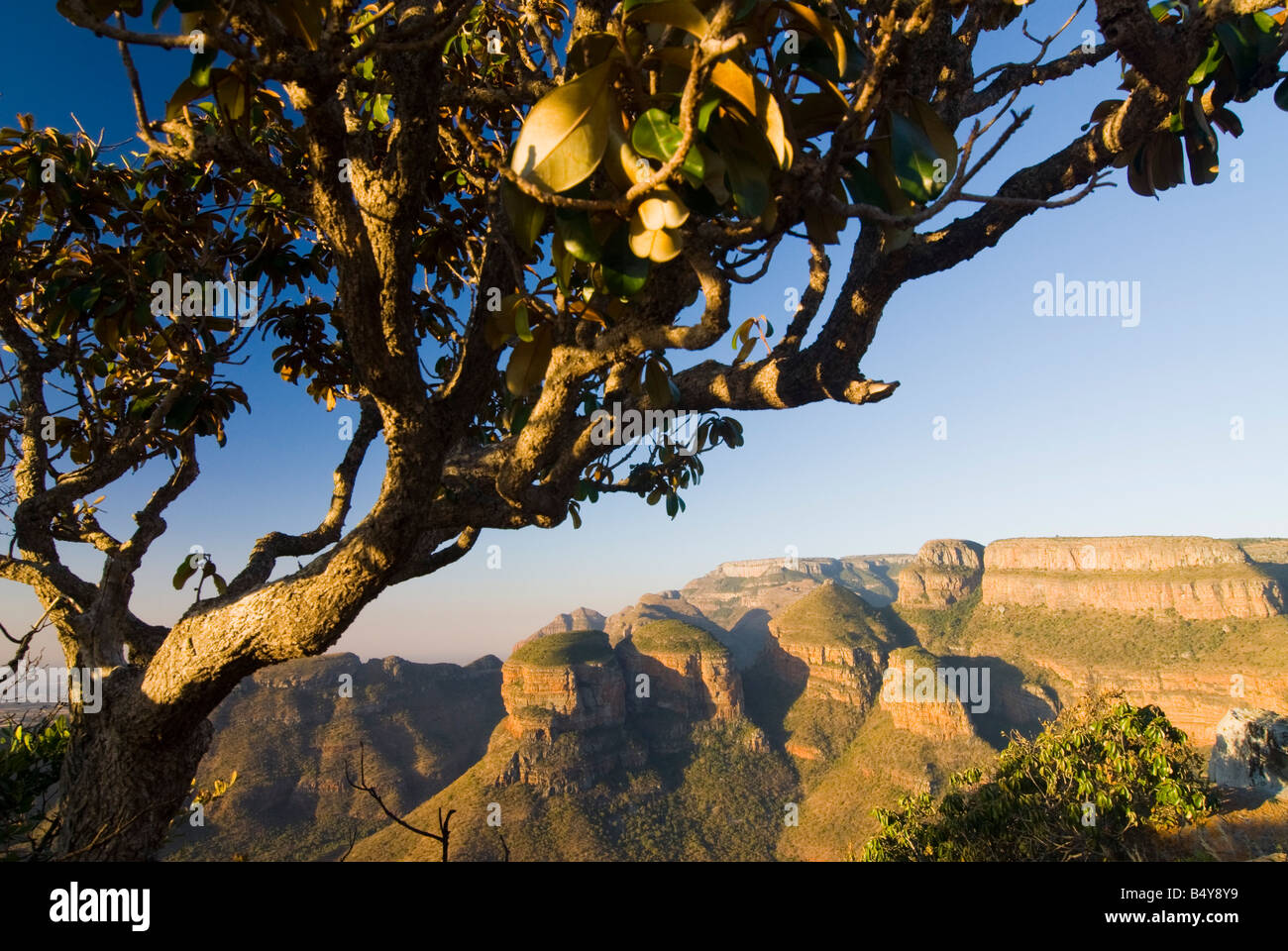 Blyde River Canyon, Mpumalanga, Afrique du Sud Banque D'Images