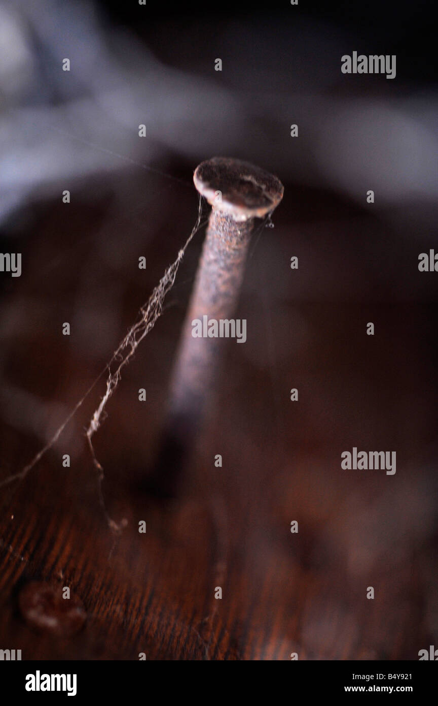 Le fil rouillé clou dans le bois Banque D'Images