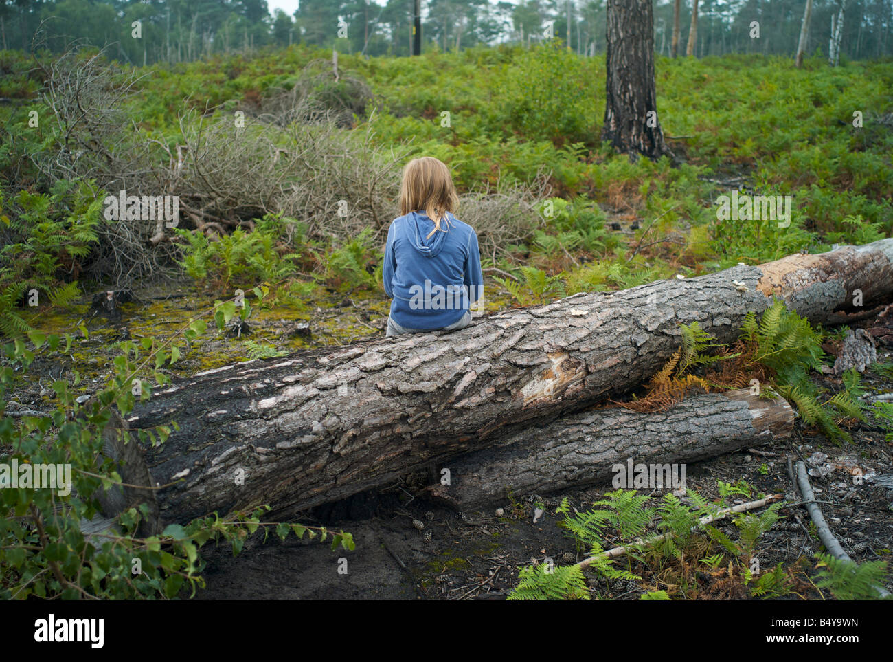 Jeune fille s'assit avec dos à la caméra dans une région boisée Banque D'Images