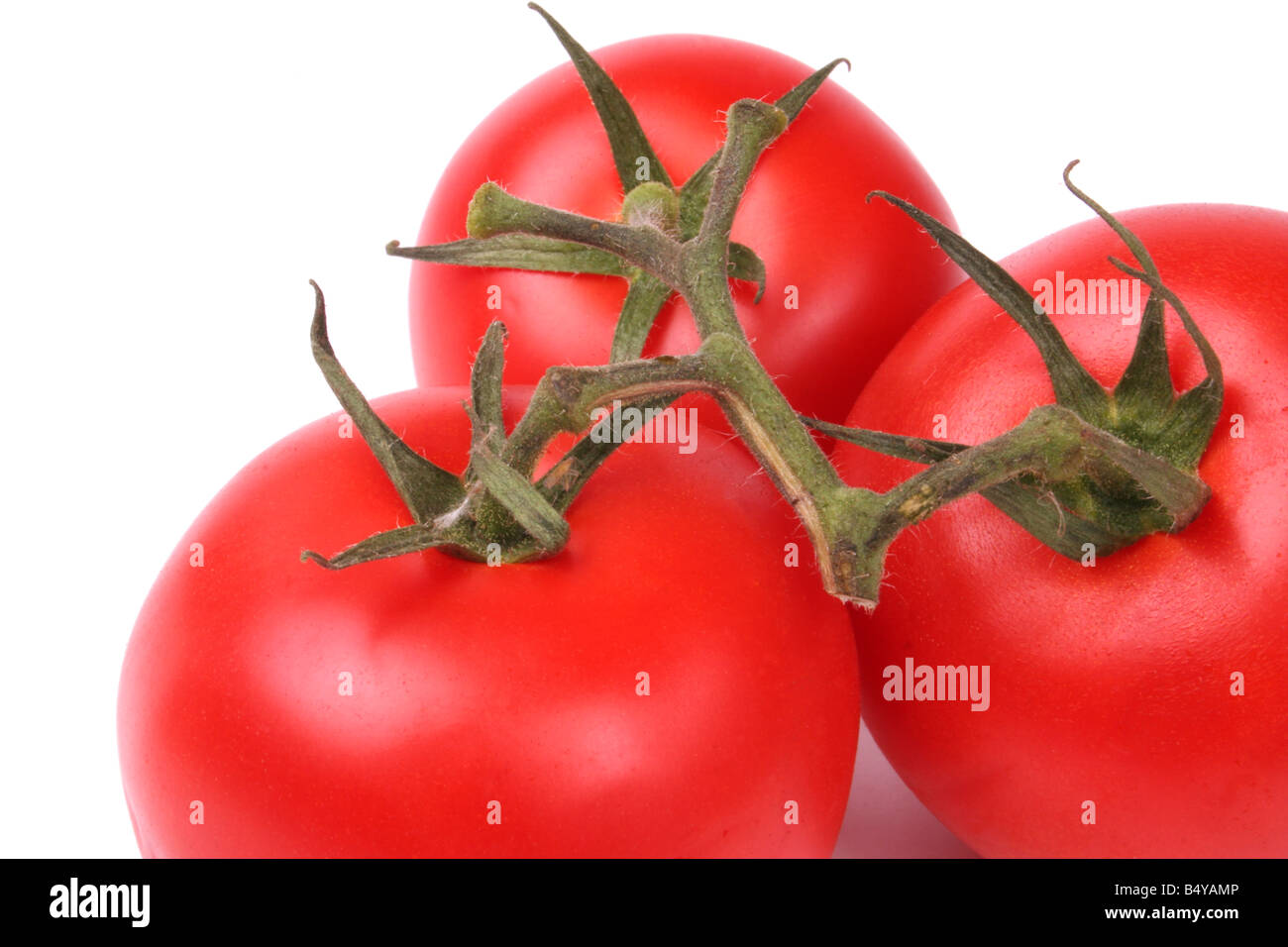 Un tas de tomates Banque D'Images
