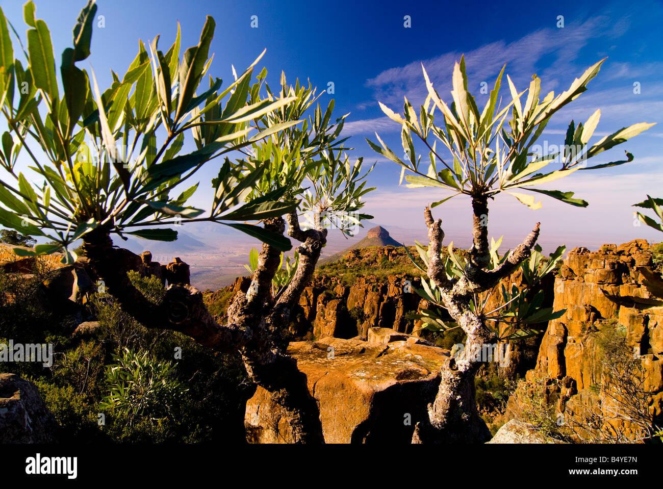 Vallée de la désolation, De Graaf Reinet, Eastern Cape, Afrique du Sud Banque D'Images