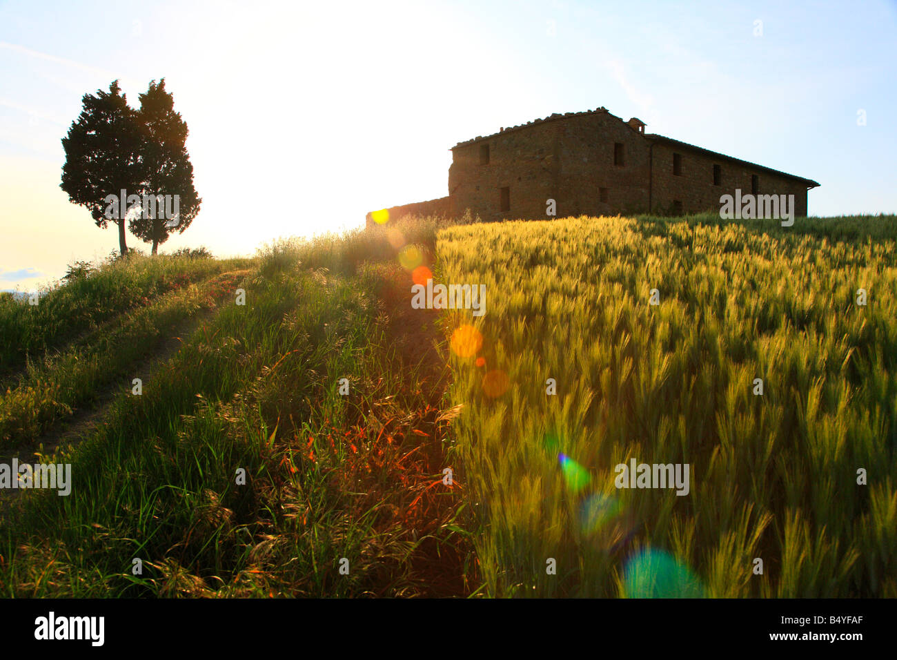 Bâtiment de ferme abandonnée, Toscane, Pienza, Toscane, Italie Banque D'Images