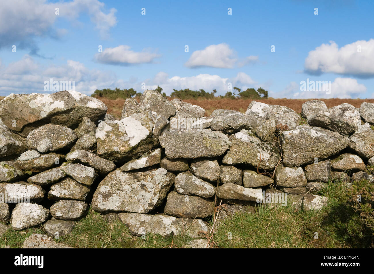 Mur en pierre ancienne, fifres, Bodmin Moor, Cornwall Banque D'Images