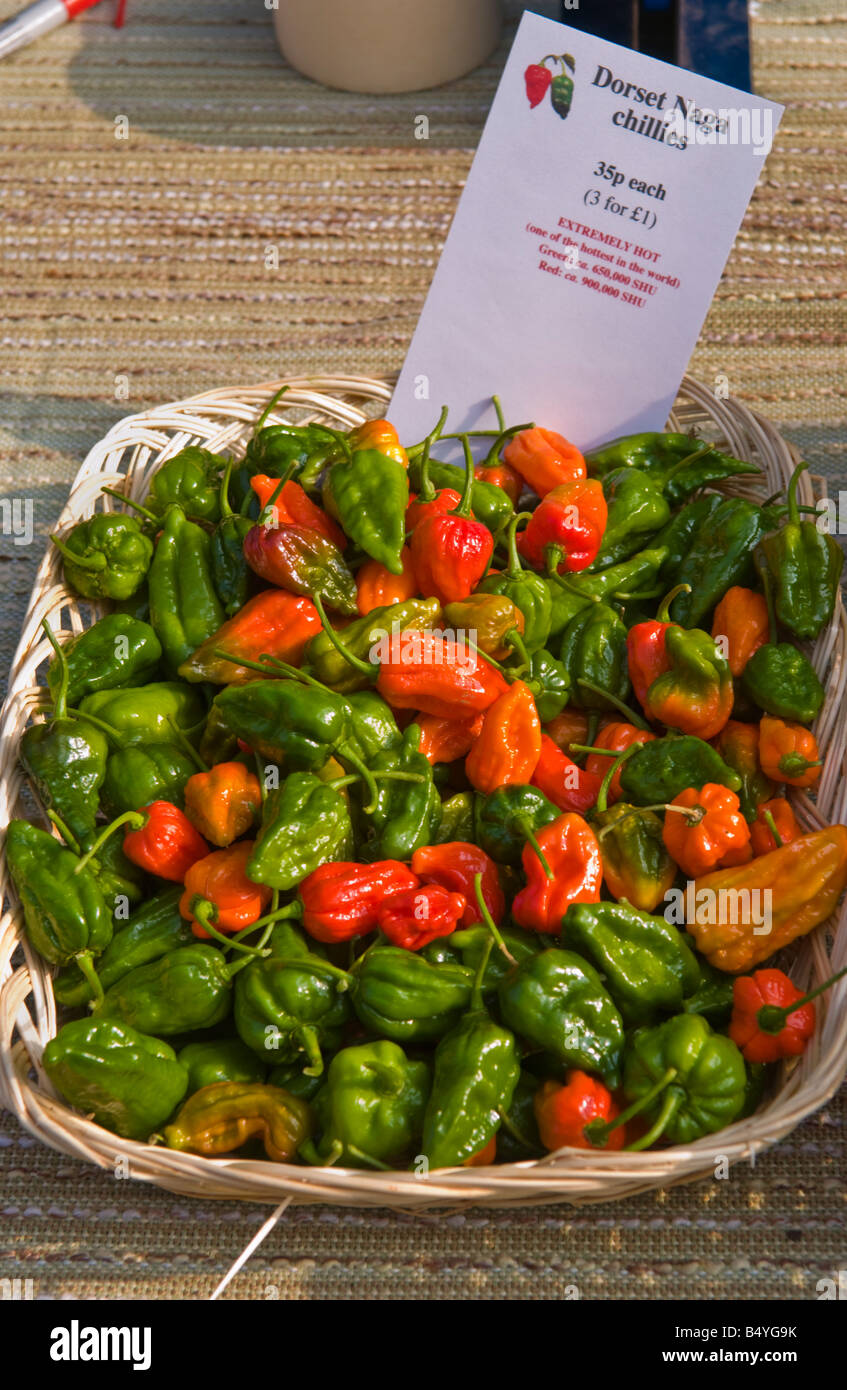 NAGA Dorset les mondes hottest chilli en vente à Abergavenny Food Festival Banque D'Images