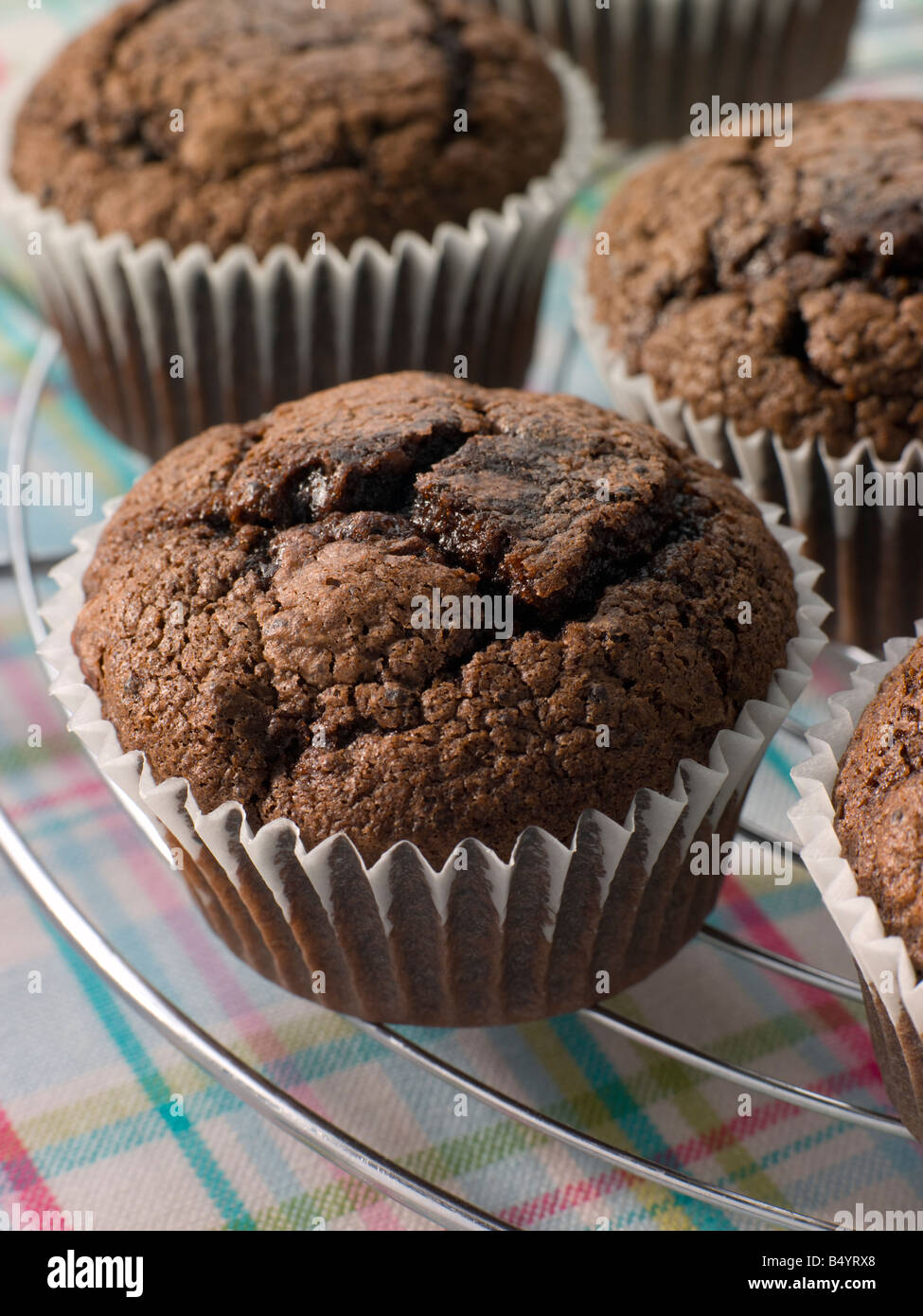 Muffins aux pépites de chocolat sur une grille de refroidissement Banque D'Images