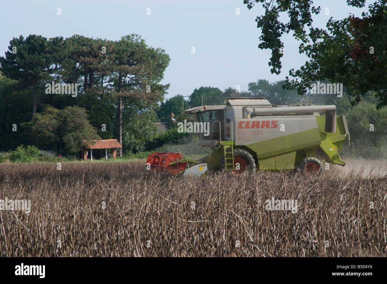 Moissonneuse-batteuse Claas Banque D'Images