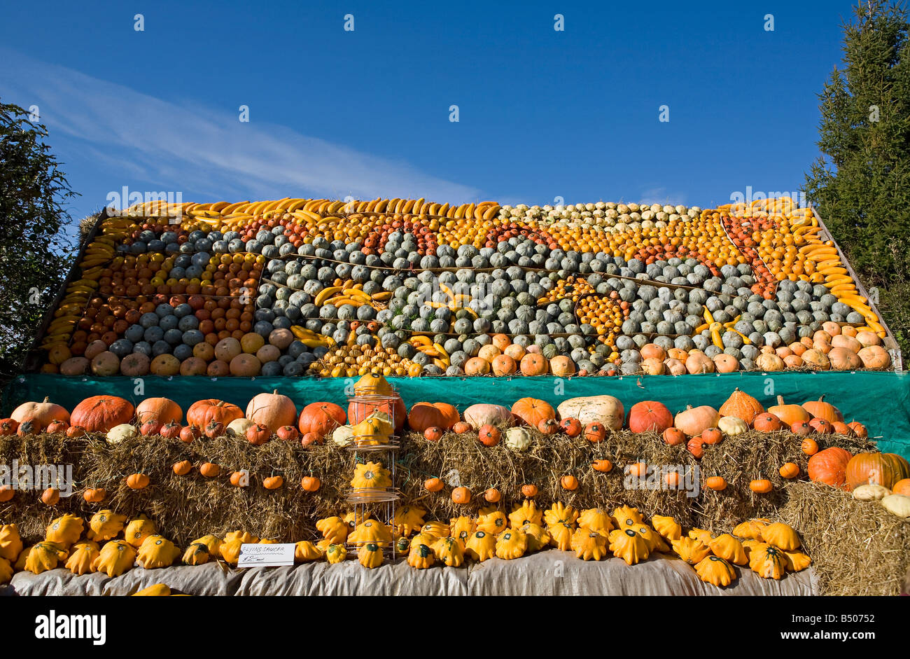 Exposition annuelle de citrouilles colorées à Slindon, West Sussex, Royaume-Uni Banque D'Images