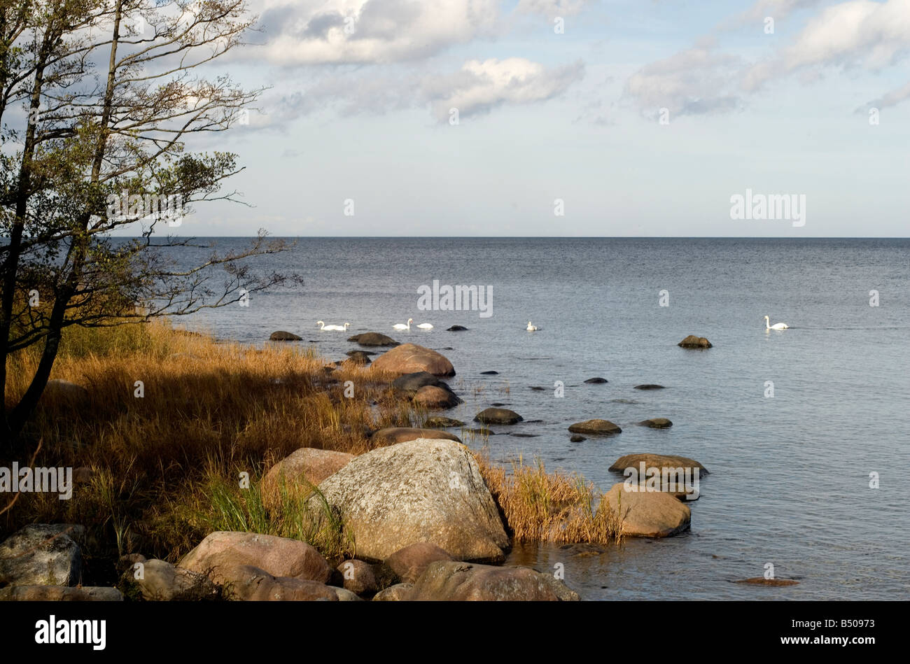 La côte nord de la mer Baltique l'Estonie Banque D'Images