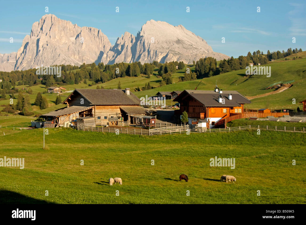 Ferme à Alpe di Siusi Alto Adige Italie Tyrol du Sud Banque D'Images