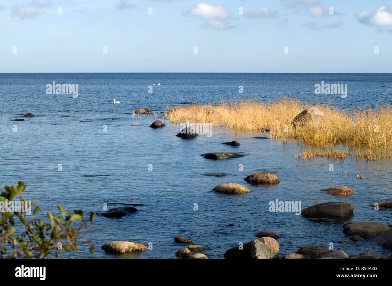 Amérique du coût de l'Estonie à Altja Banque D'Images