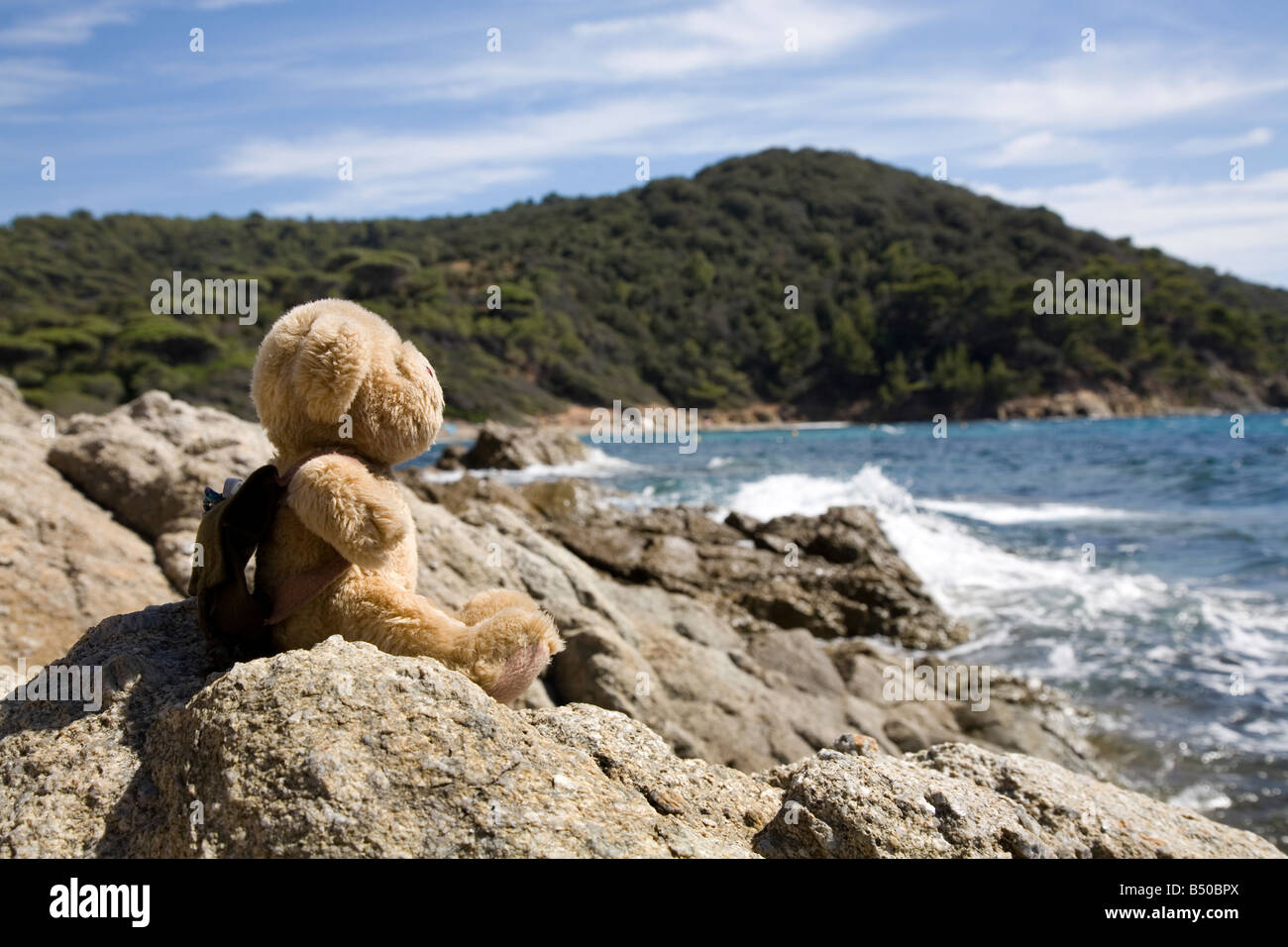 Doudou ours profitant de la vue sur la promenade côtière près de Cap Lardier au Sud de France Septembre 2008 Banque D'Images